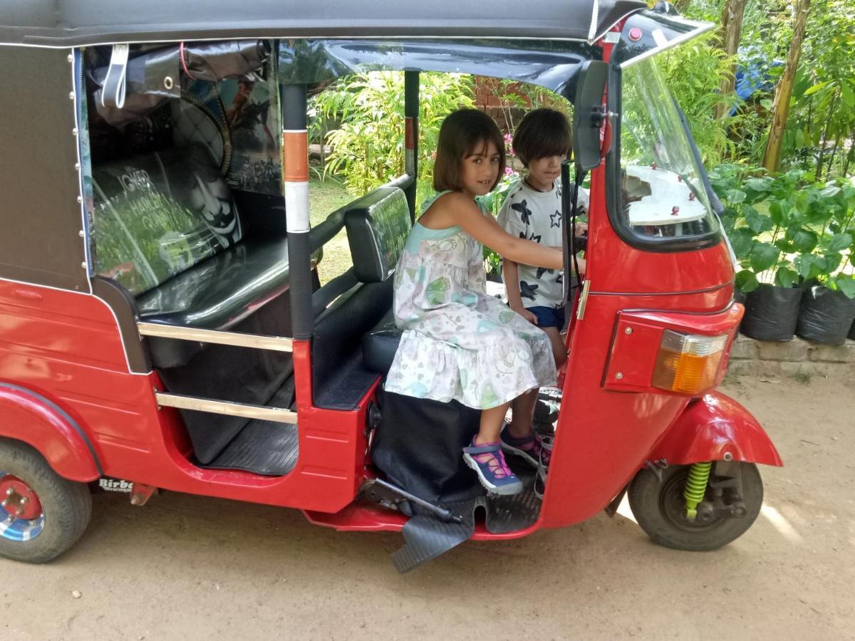 Shan Home Stay Σιγκιρίγια Εξωτερικό φωτογραφία