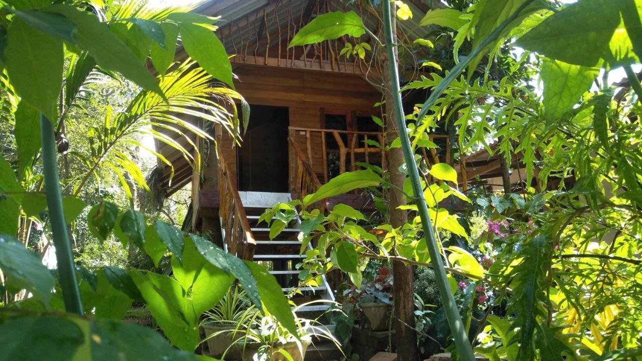 Shan Home Stay Σιγκιρίγια Εξωτερικό φωτογραφία