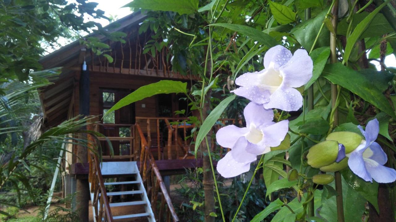 Shan Home Stay Σιγκιρίγια Εξωτερικό φωτογραφία