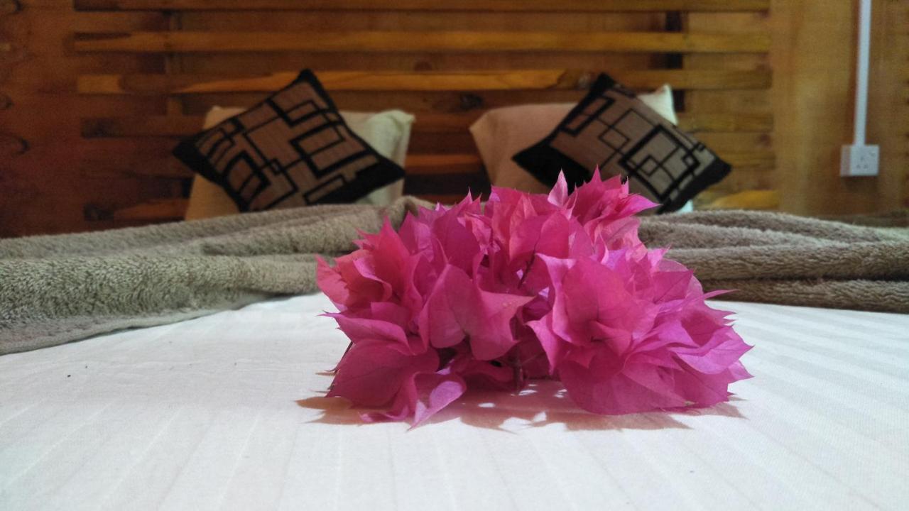 Shan Home Stay Σιγκιρίγια Εξωτερικό φωτογραφία