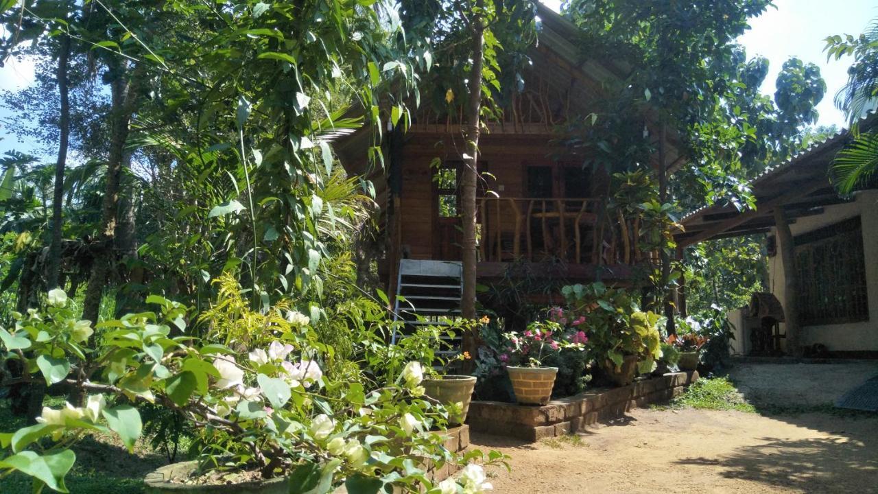Shan Home Stay Σιγκιρίγια Εξωτερικό φωτογραφία
