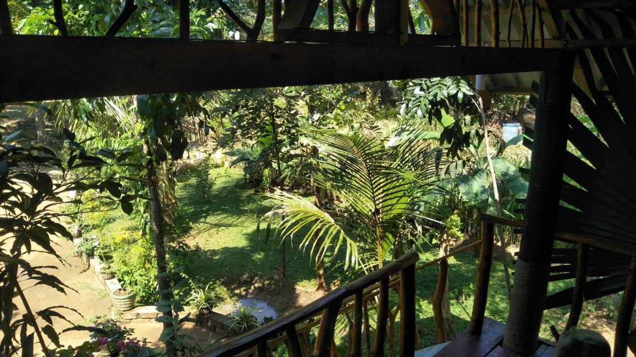 Shan Home Stay Σιγκιρίγια Εξωτερικό φωτογραφία
