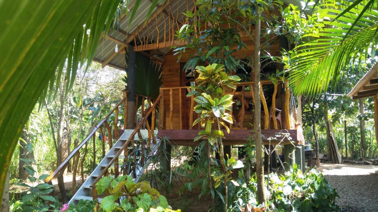 Shan Home Stay Σιγκιρίγια Εξωτερικό φωτογραφία